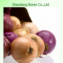 Natural Quality Fresh Vegetables Red Onion/Yellow Onion